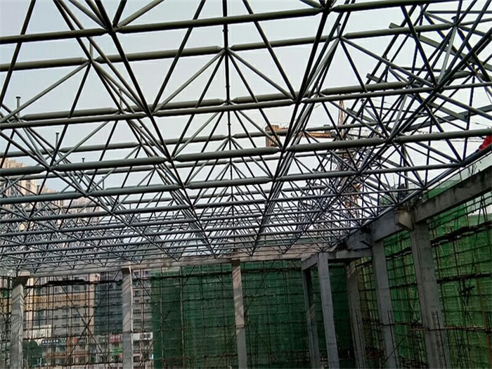 启东光谷第十一小学网架